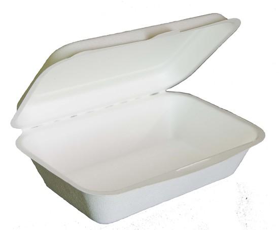 Sugar Cane Rectangular Clamshell - Green Choice