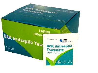 10 Pack Antiseptic Wipes, pack 10