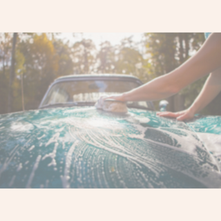 Vehicle Cleaners NZ | Automotive Cleaning