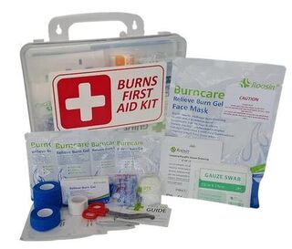 Premium Essentials Burns Industrial First Aid Work Place First Aid Kit Clear Plastic Wall Mountable - DTS Medical