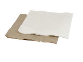 Lunch Napkin - White - 1/4 fold - 2 ply - Green Choice 